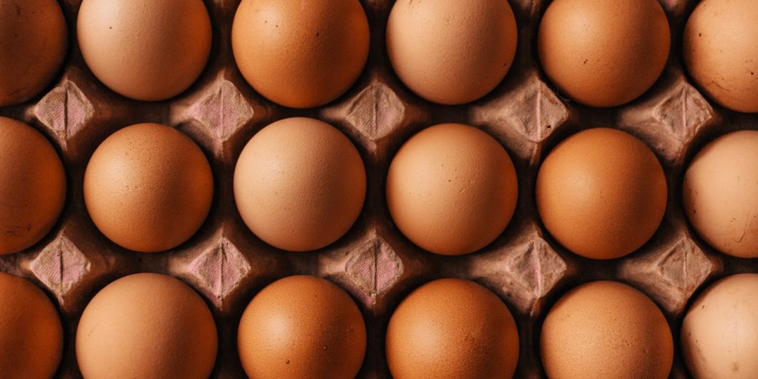 Ako zistiť, či je vajce dobré? Je už vajce pokazené?