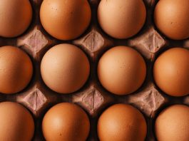 Ako zistiť, či je vajce dobré? Je už vajce pokazené?